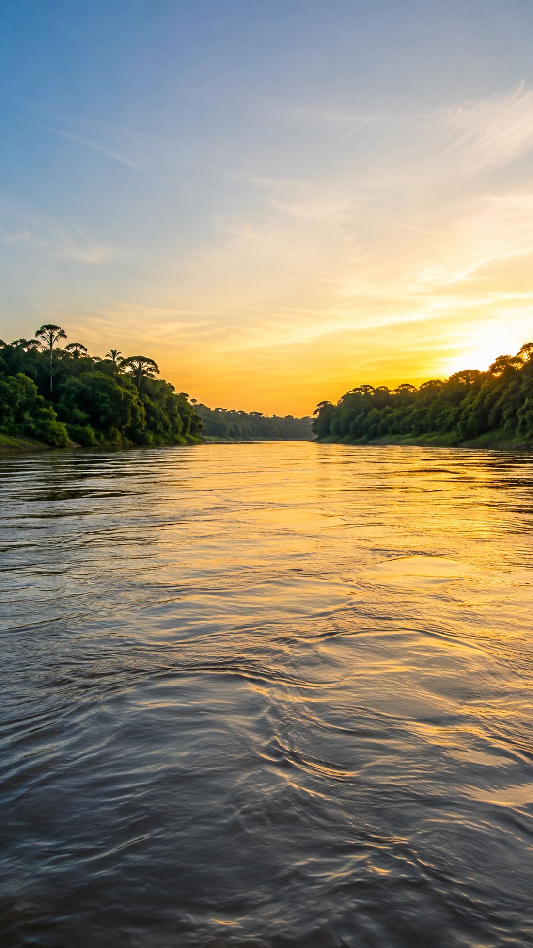 Rio brasileiro ao amanhecer